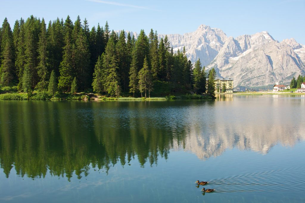 Si può fare a piedi il giro del Lago di Misurina, in Veneto, circondati dal verde e dalla vista delle Dolomiti