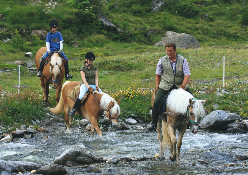 In sella ai cavalli avelignesi sui torrenti attorno a Moso in Passiria (foto copyright tourismusverein-passeiertal).