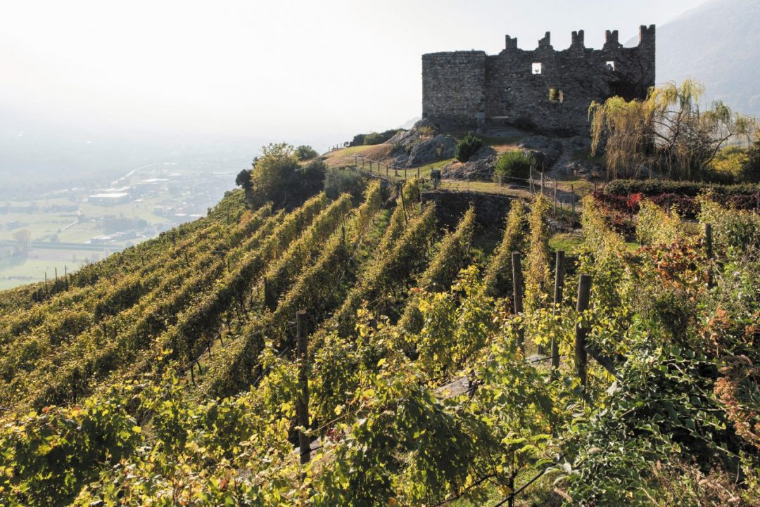 Via dei Terrazzamenti: in cammino tra vigne e borghi della Valtellina