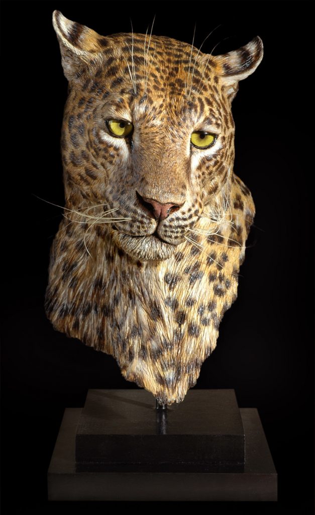 Leopardo di Marco Vitaloni scultore iperrealista 