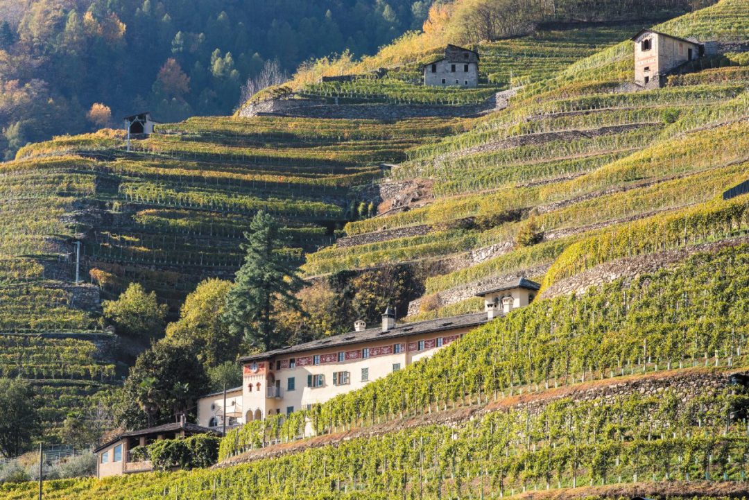 Via dei Terrazzamenti: in cammino tra vigne e borghi della Valtellina