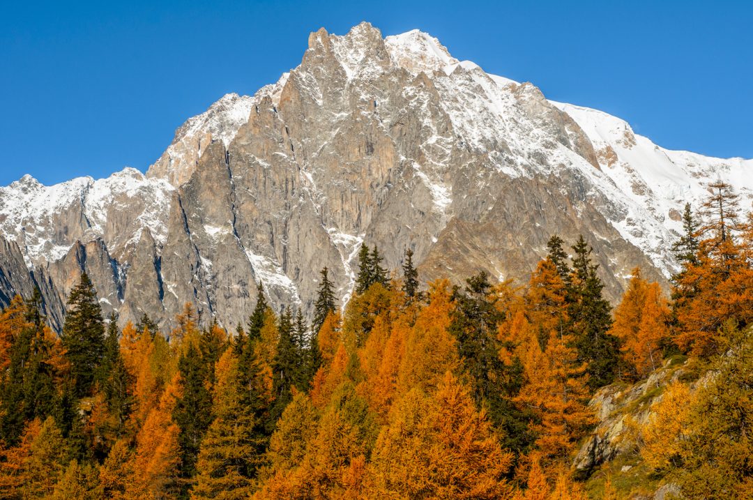 Valle d’Aosta in autunno: lo spettacolare foliage di Courmayeur e dintorni