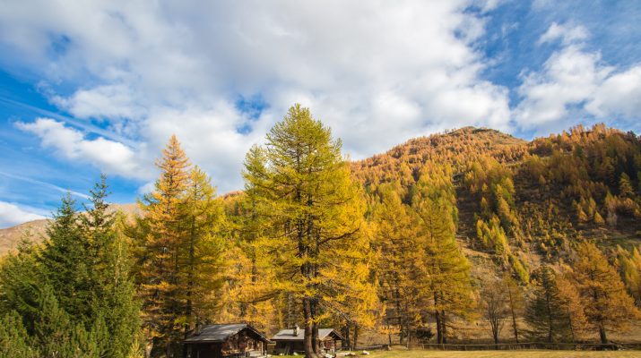 Foto Valle d'Aosta in autunno: lo spettacolare foliage di Courmayeur e dintorni