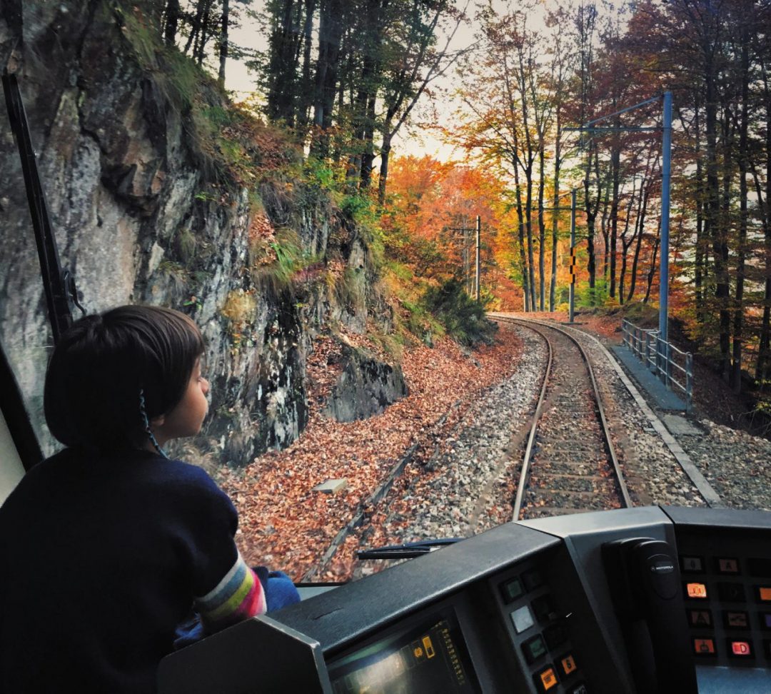 treno del foliage