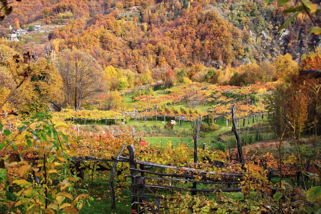 treno del foliage