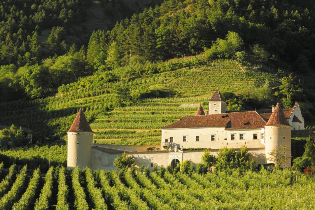 Il turismo del vino in Italia