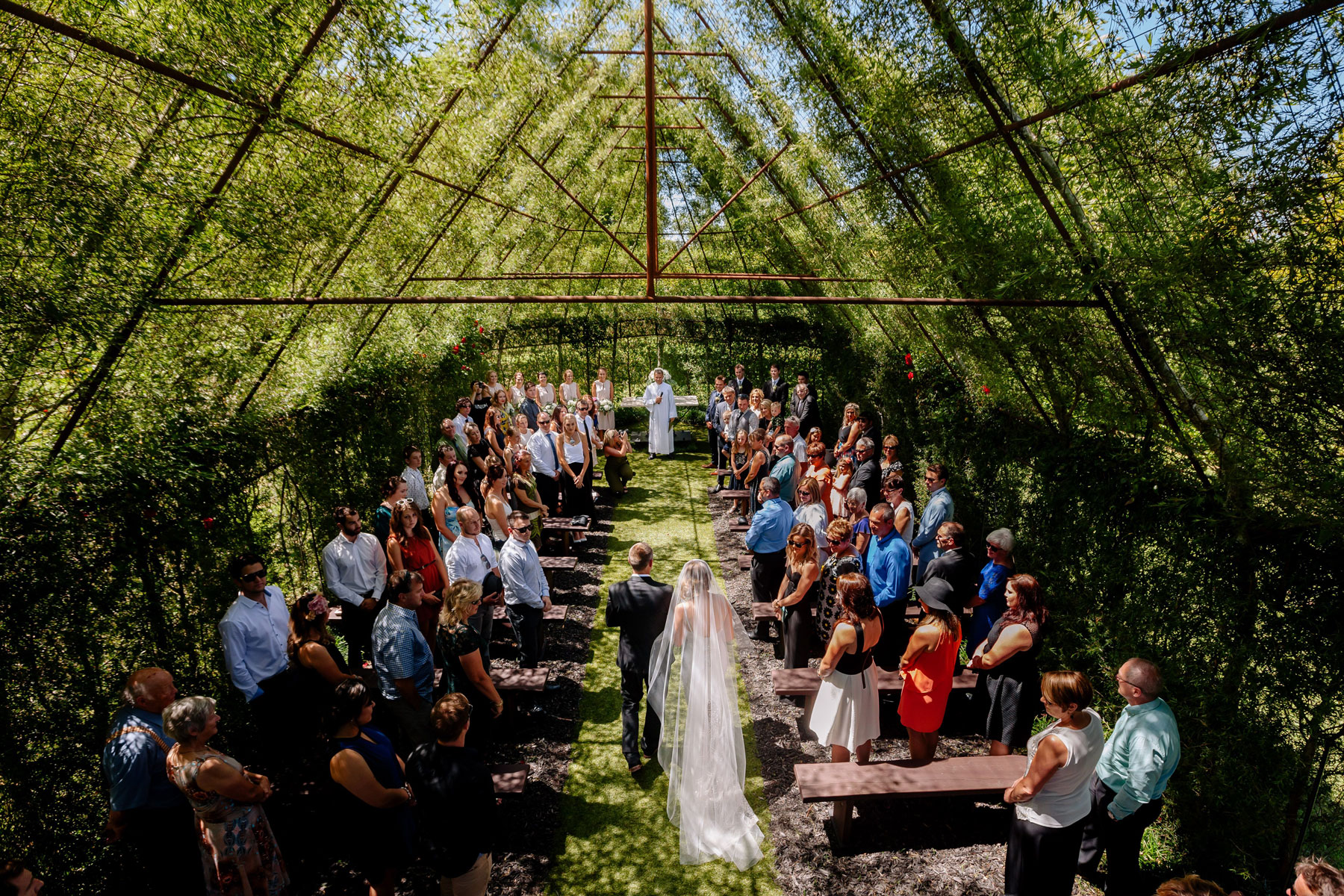 Nuova Zelanda: “TreeChurch” la chiesa degli alberi dove tutti vogliono sposarsi