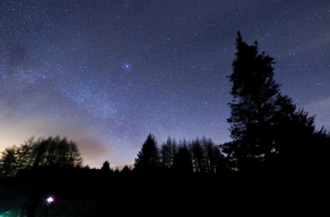 Foresta di Davagh, Irlanda 