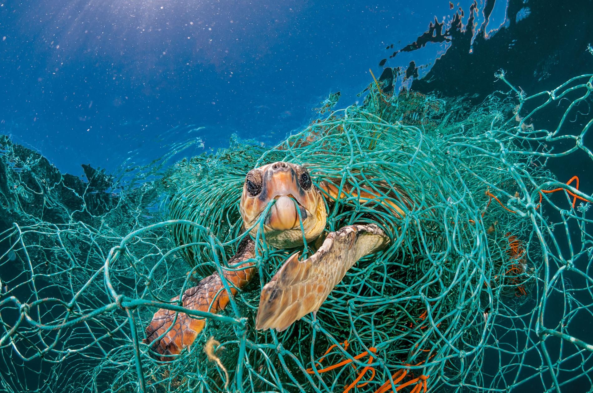 Salviamo gli oceani: cinque consigli per mantenerli puliti