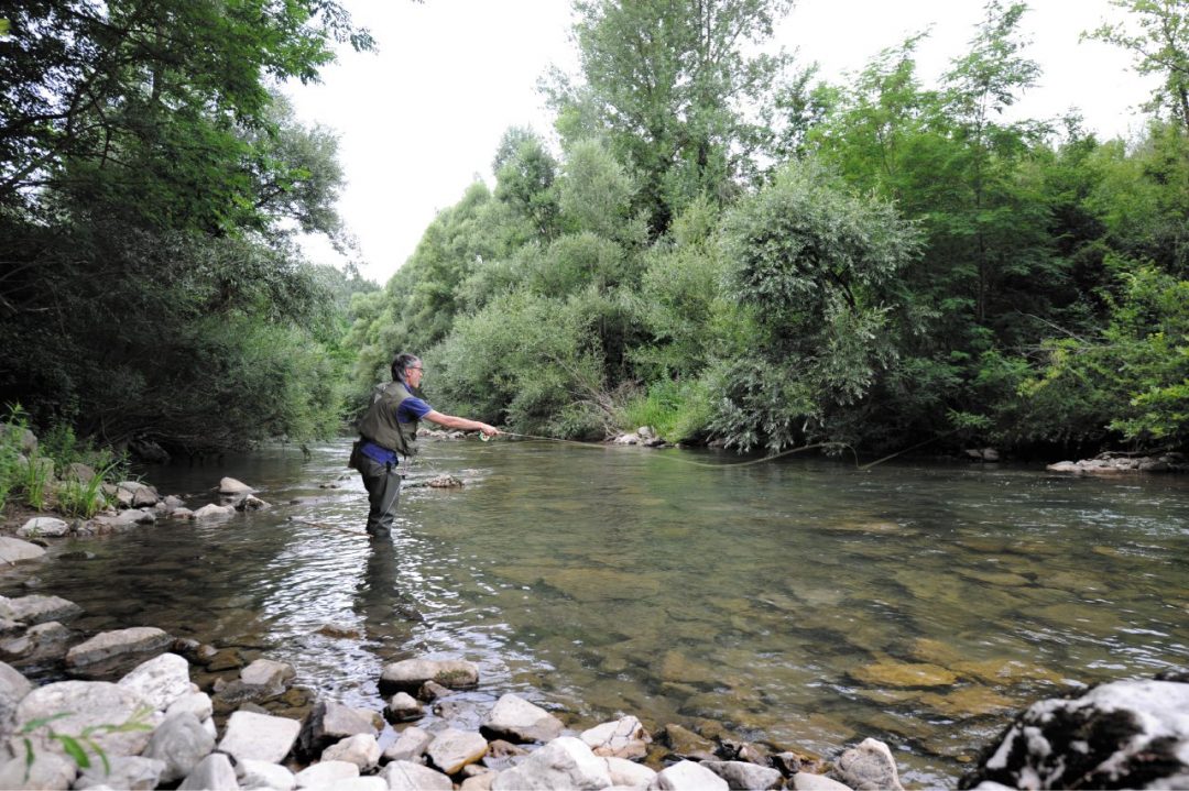 Aree protette e pesca 