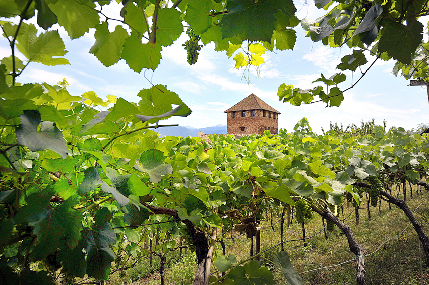 Alto Adige, gli hotel del buon vino 