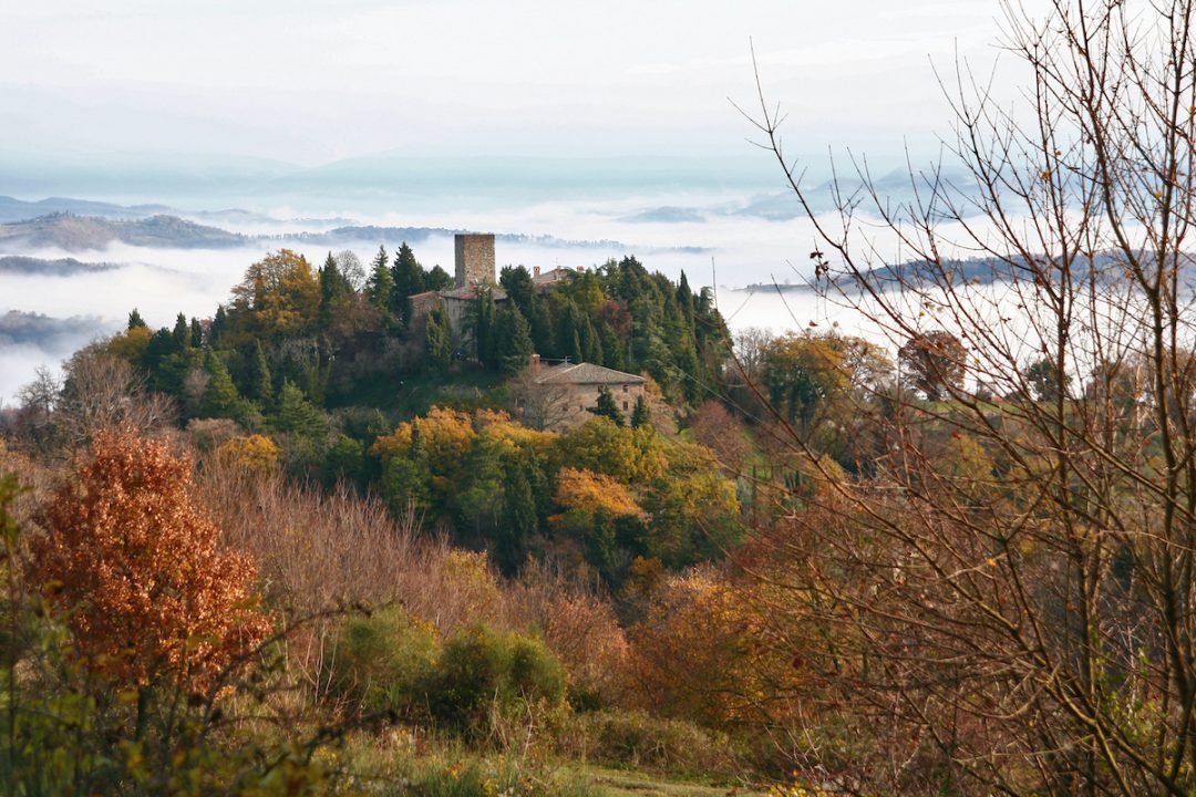 Tartufi a Castello di Petroia, in Umbria