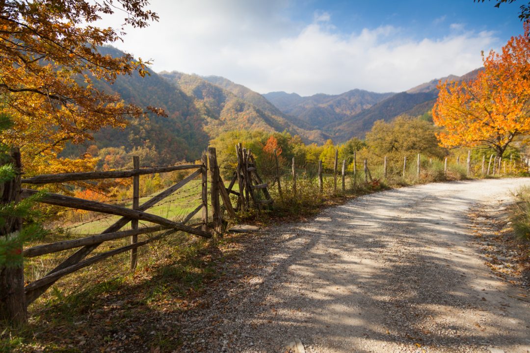 Magie d’autunno: tutti i colori del foliage nelle Foreste Casentinesi