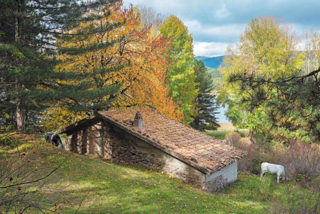 Sila, foliage spettacolo in Calabria 