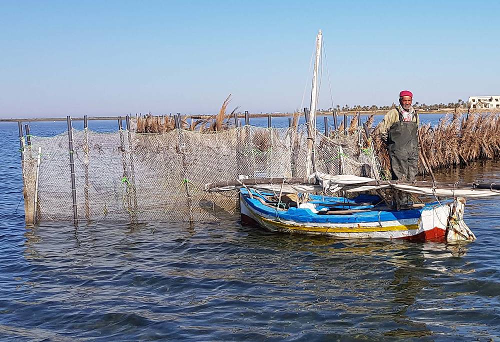 La pesca alla Charfia all'isola di Kerkennah, Tunisia 