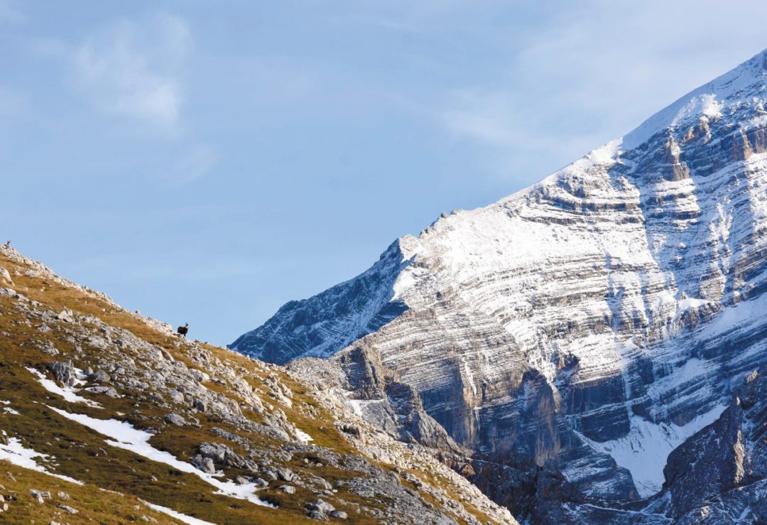 Osservare la natura in Alto Adige: una nuova esperienza da provare a San Vigilio di Marebbe