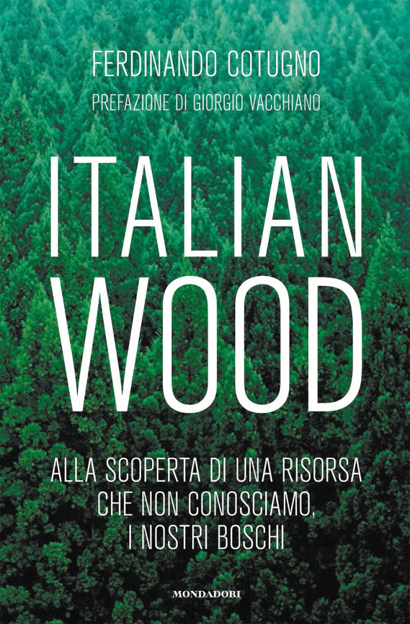 Italian Wood. Alla scoperta di una risorsa che non conosciamo, i nostri boschi