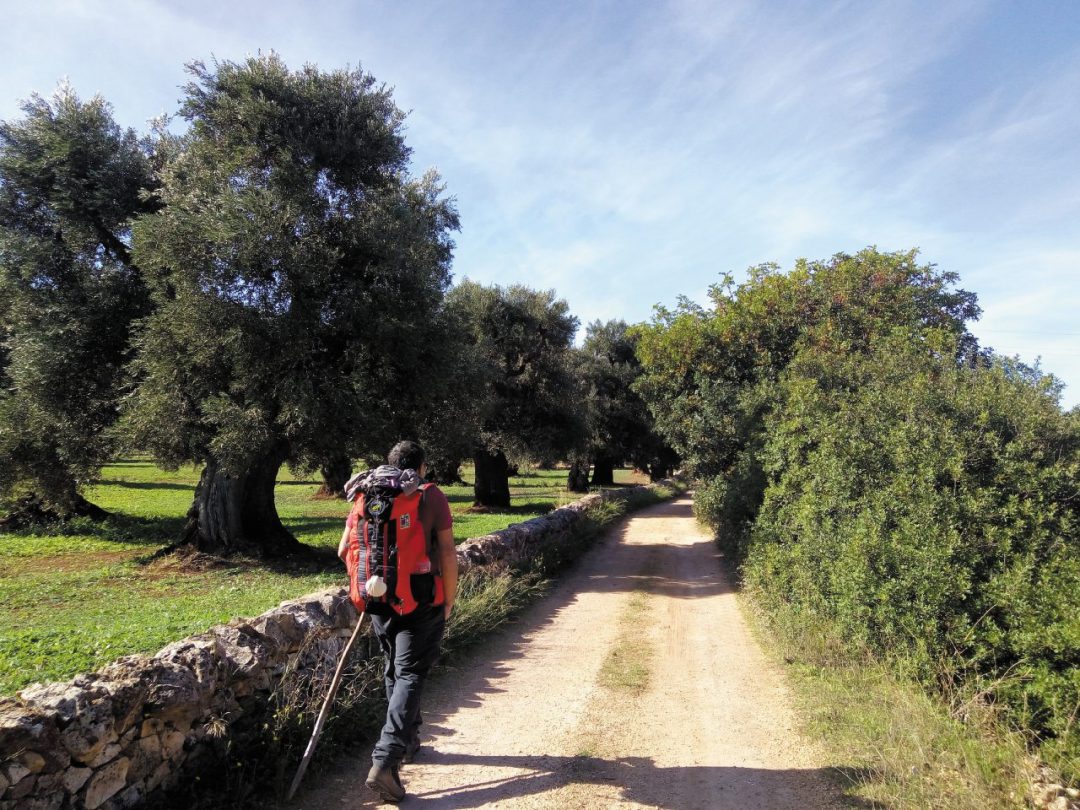 In cammino lungo la  Via Ellenica: il nuovo itinerario da Brindisi a Matera