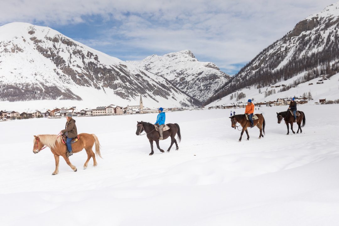 Equitazione sulla neve - Livigno (So)