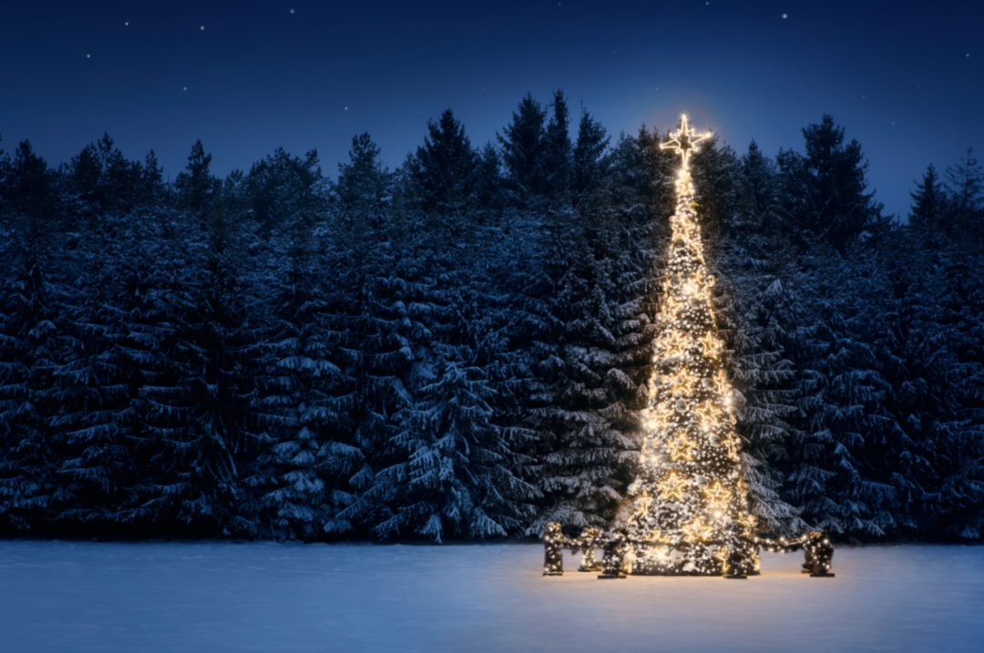 Alberi di Natale 2020: i più belli d'Europa