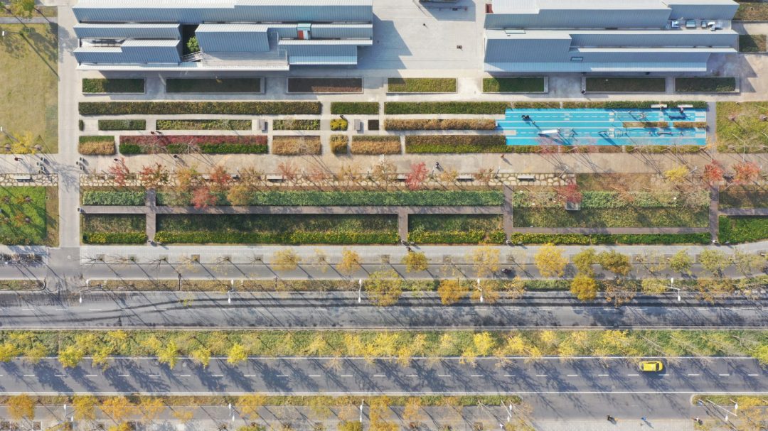 Green Shanghai: la pista dell’ex aeroporto è diventata un bellissimo giardino pubblico