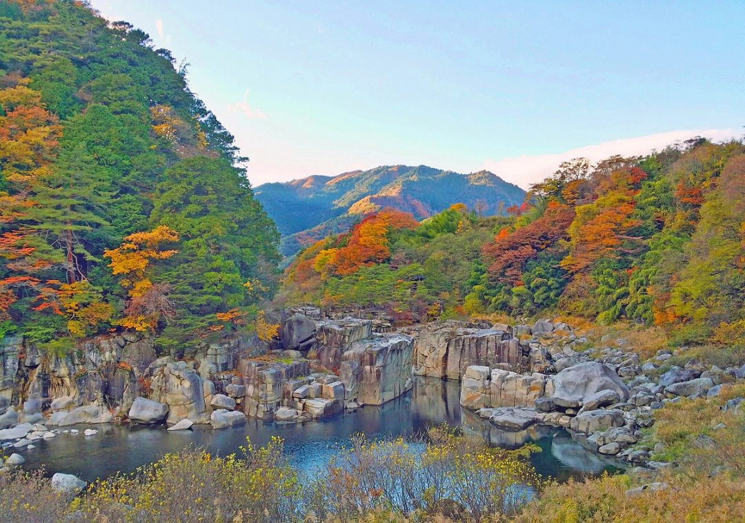 Akasawa, la foresta del benessere