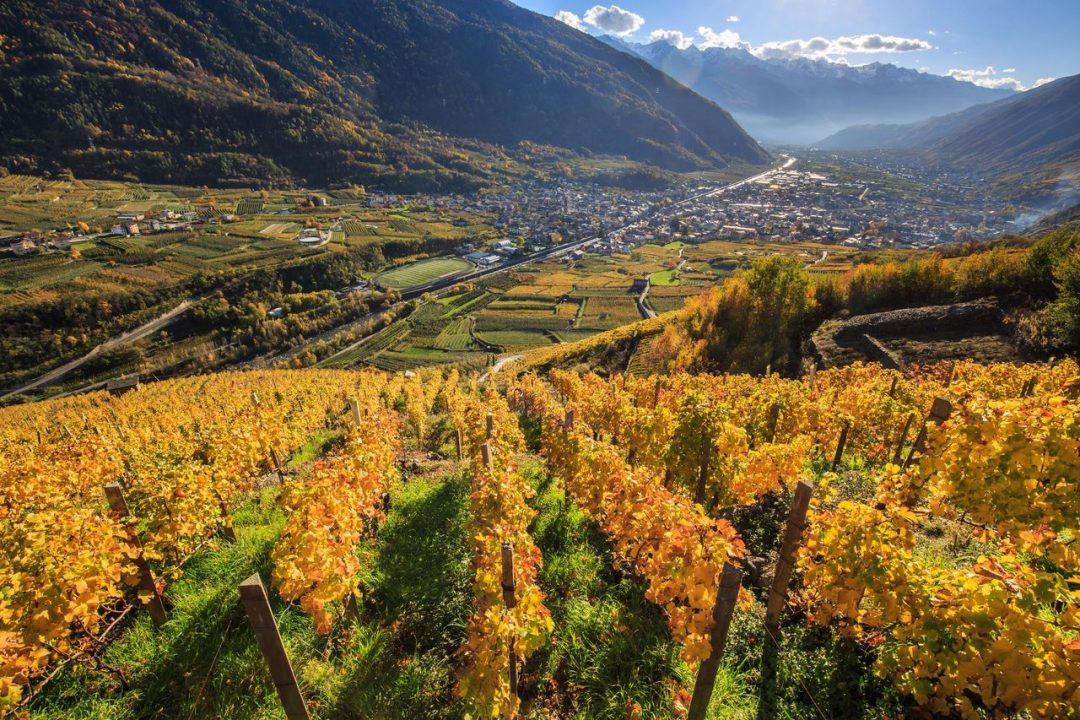 La Strada del Vino della Valtellina, Lombardia