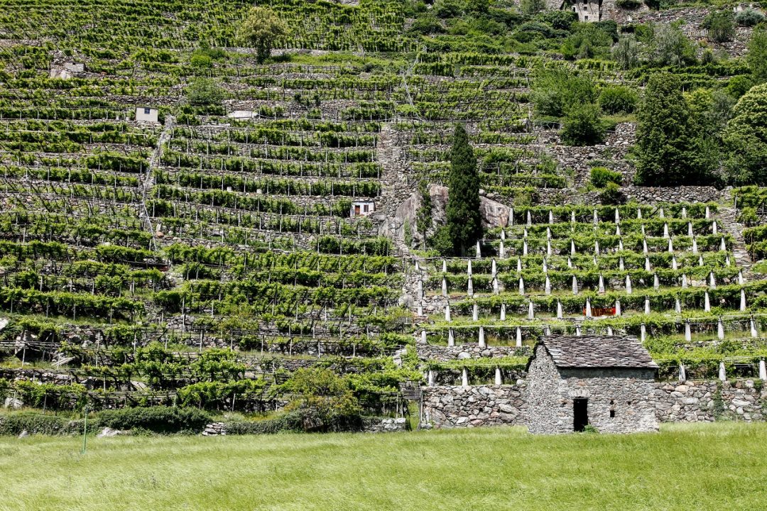 La Route Des Vins, Valle d’Aosta
