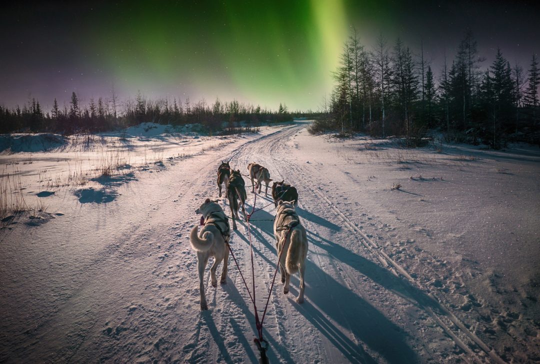 Aurora boreale in Canada: quando e dove vederla