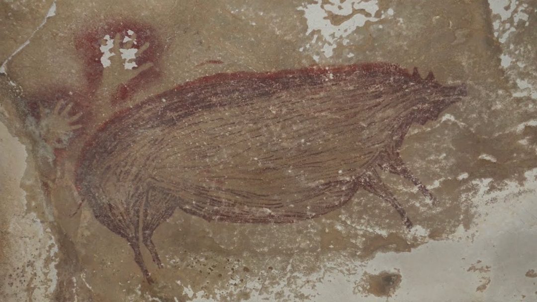 Il cinghiale di Sulawesi di 45.500 anni: è la più antica pittura rupestre dell'umanità