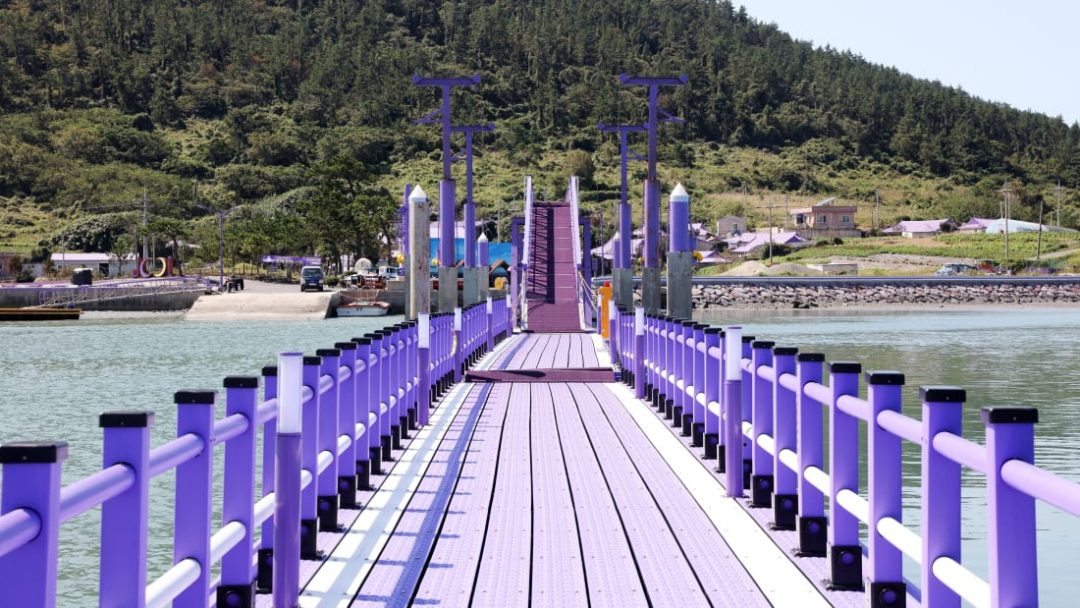 Corea del sud, l’isola tutta viola (che dà un tocco di colore inconfondibile alle foto sui social)