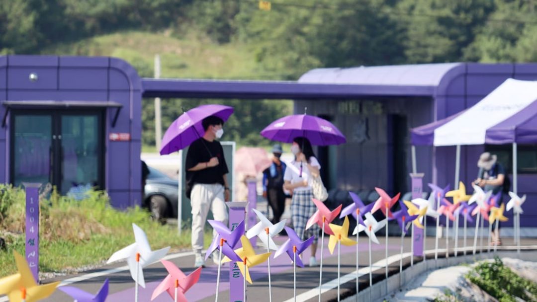 Corea del sud, l’isola tutta viola (che dà un tocco di colore inconfondibile alle foto sui social)