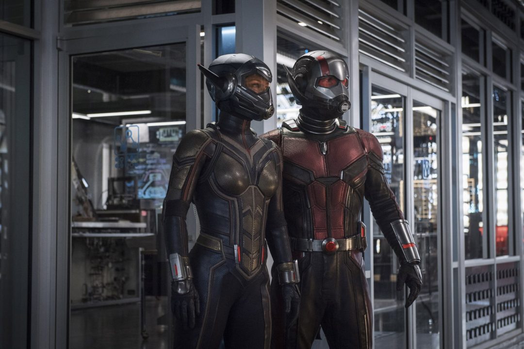 Prossimi film: Ant-Man and The Wasp: Quantumania