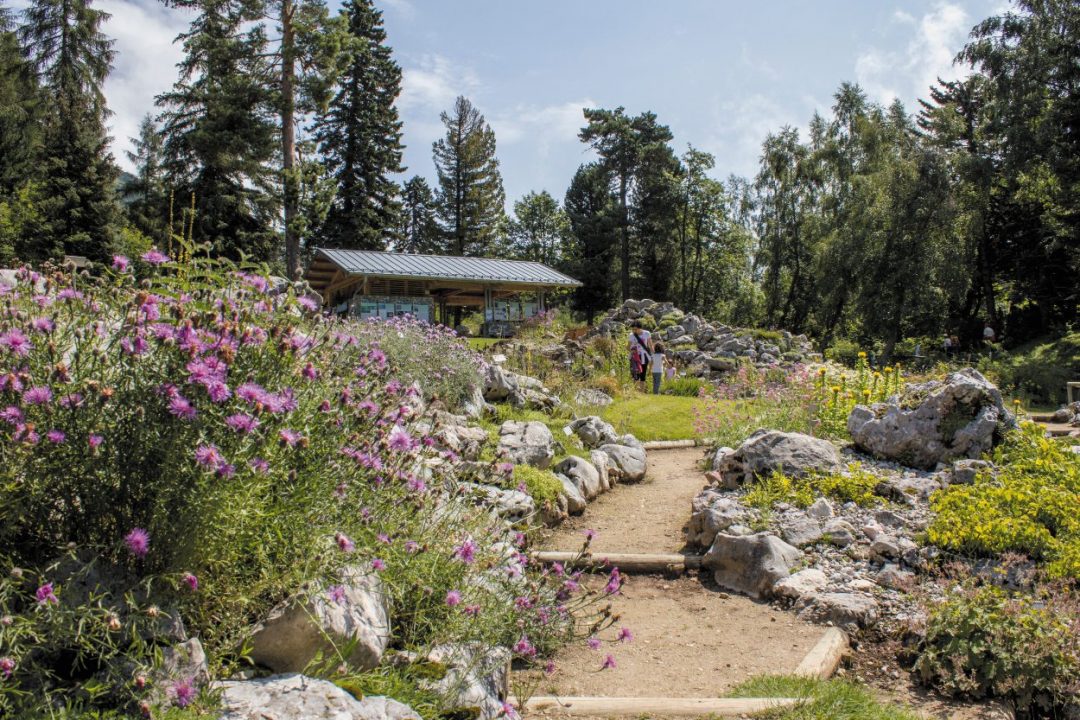 Giardino Botanico Alpino 