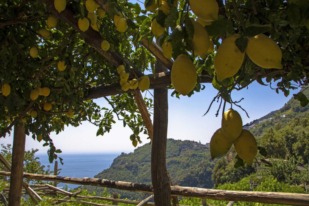 Sentiero dei limoni in Costiera Amalfitana, Campania