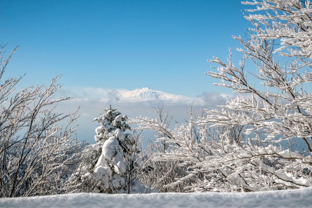Ciaspolate in Aspromonte: a Gambarie, sulla neve con vista mare