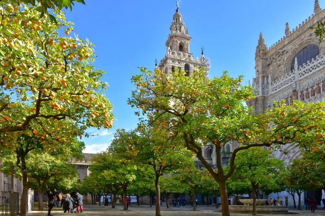 Gli aranci di Siviglia, Spagna