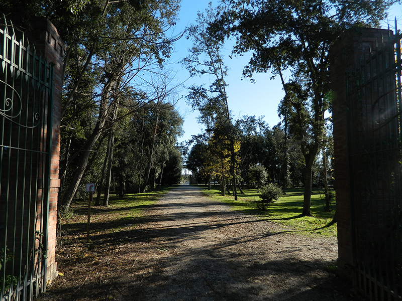 Parco della Versiliana