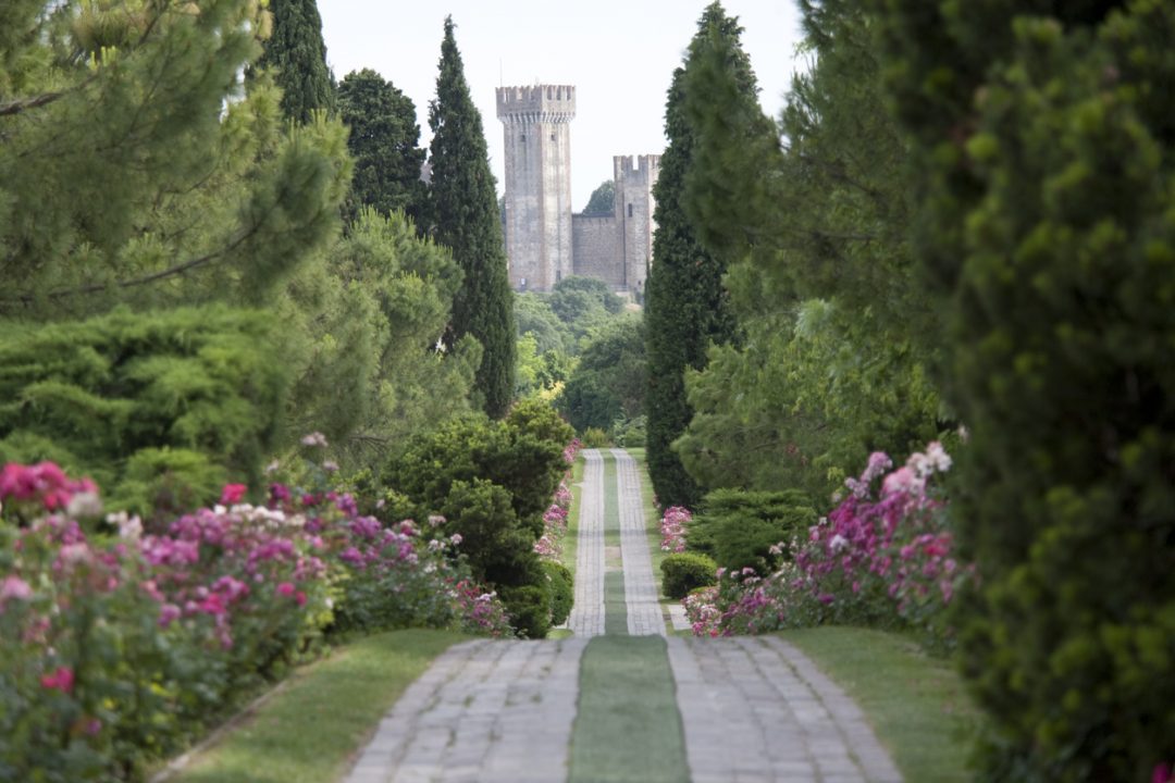 Le rose del Parco Giardino Sigurtà di Valeggio sul Mincio - Veneto
