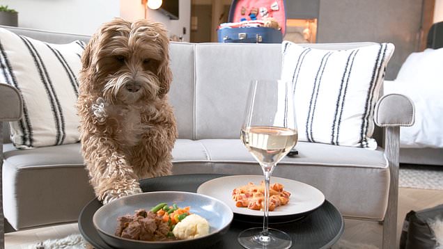 Vacanze pet friendly: arriva il menù per cani gourmet
