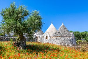 Posti bellissimi da visitare in Puglia: 25 idee per le vacanze