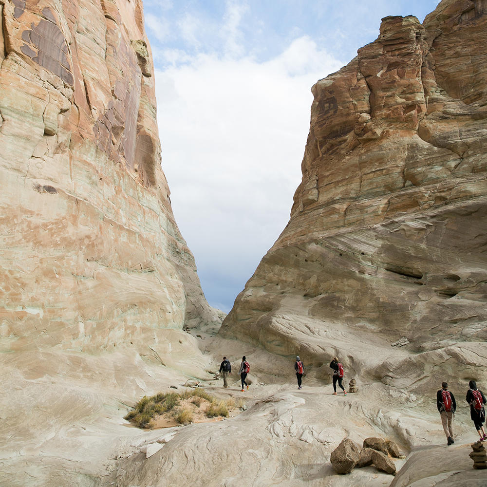 Avreste il coraggio di salire? La “scala verso il cielo”, la nuova attrazione nel deserto dello Utah