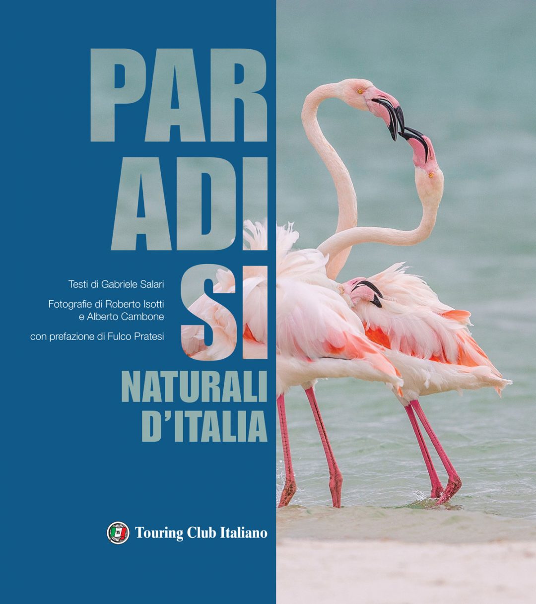Paradisi naturali d’Italia: le oasi e le aree protette da scoprire. Per un weekend nel verde