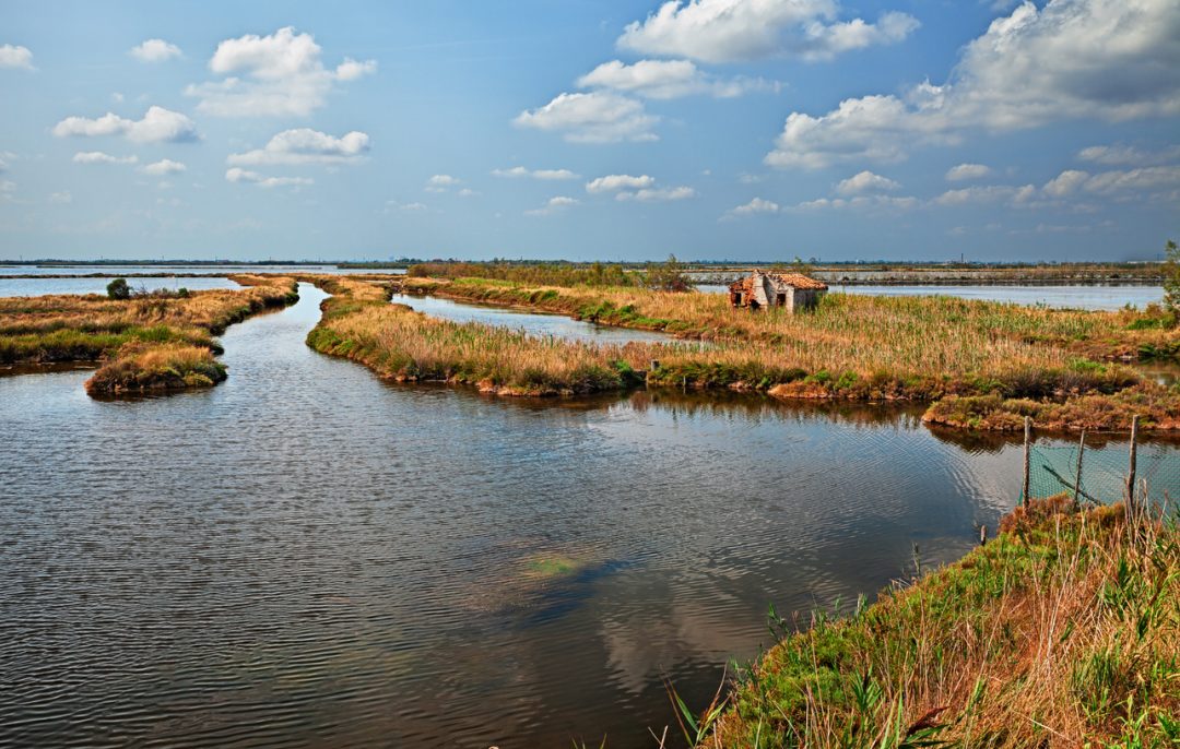 Tra storia e natura: l'agriturismo sul Delta del Po