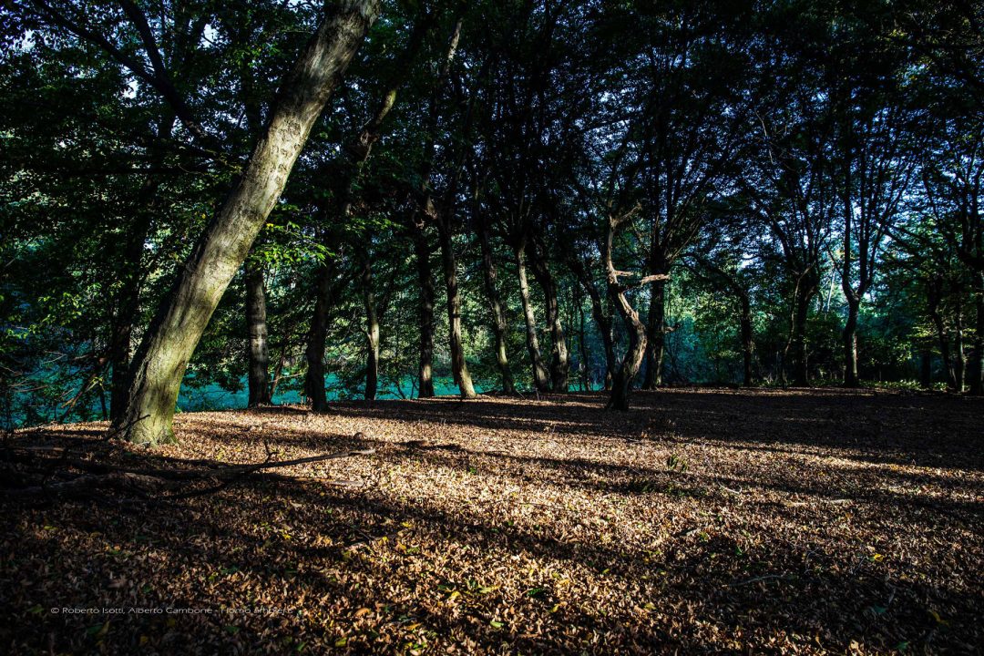 Oasi Wwf Bosco di Vanzago (Lombardia)