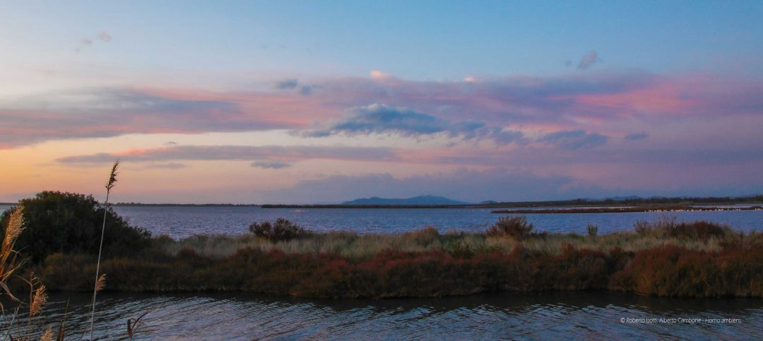 Laguna di Orbetello (Toscana)