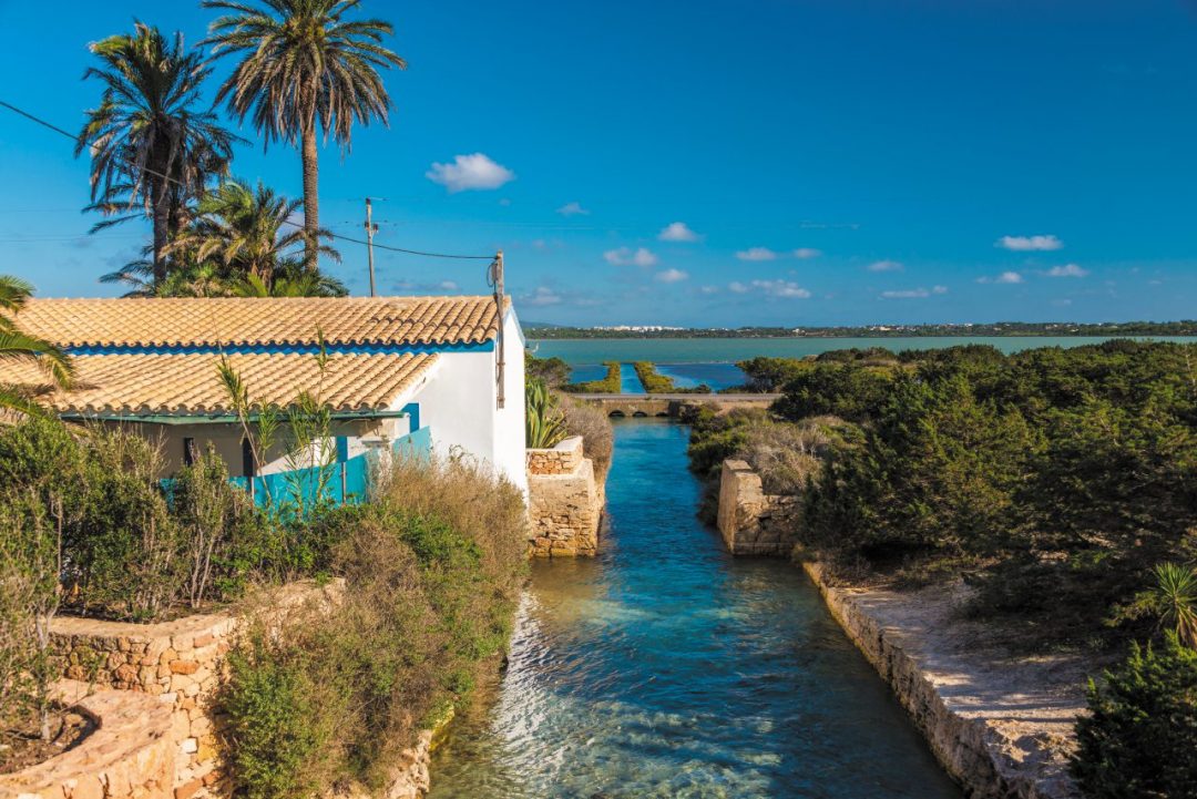 Formentera, l’isola della movida green