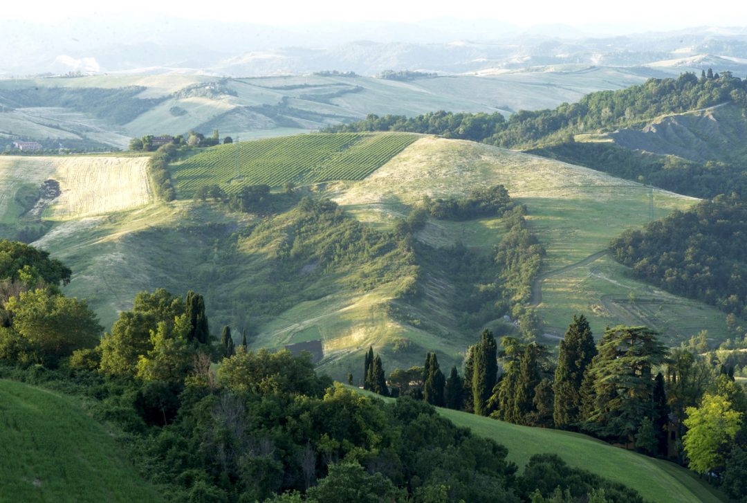 L’estate di “Scena natura” sui colli bolognesi: ecco tutti gli eventi in programma