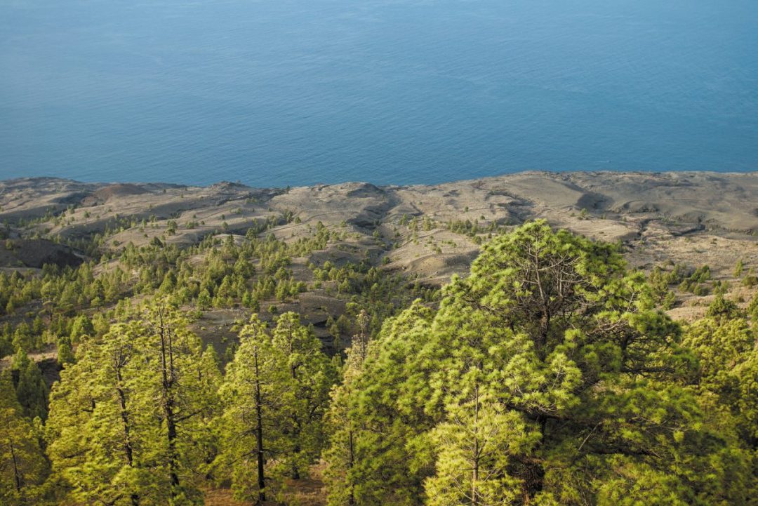 El Hierro: l’isola delle Canarie dove sentire la forza della natura