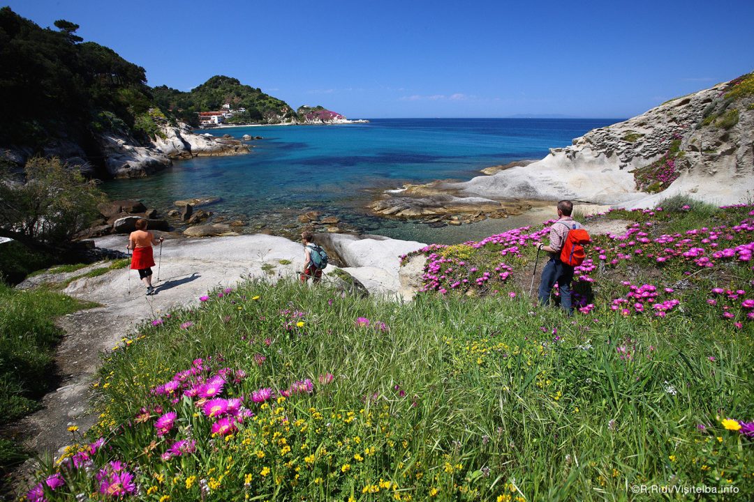 Mare, natura, benessere e storia all’isola Elba